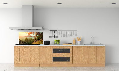 Cooker splashback Scandinavian lake