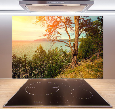 Cooker splashback Scandinavian lake