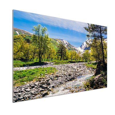 Cooker splashback River in the mountains