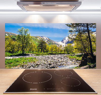 Cooker splashback River in the mountains