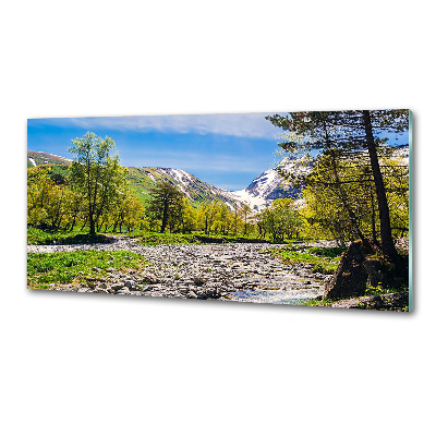 Cooker splashback River in the mountains