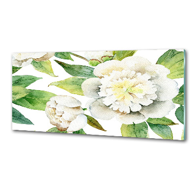 Cooker splashback Peonies