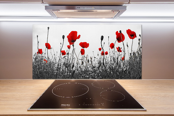 Cooker splashback Macs