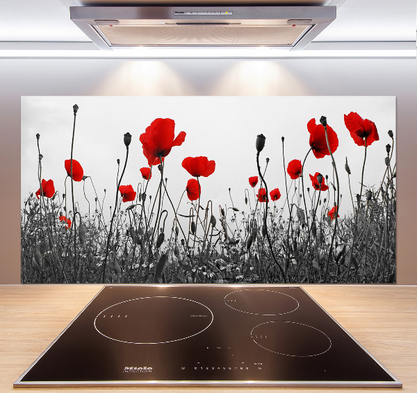 Cooker splashback Macs