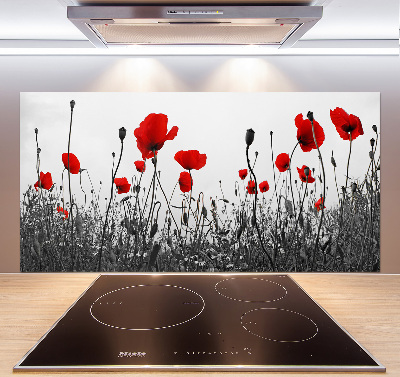 Cooker splashback Macs