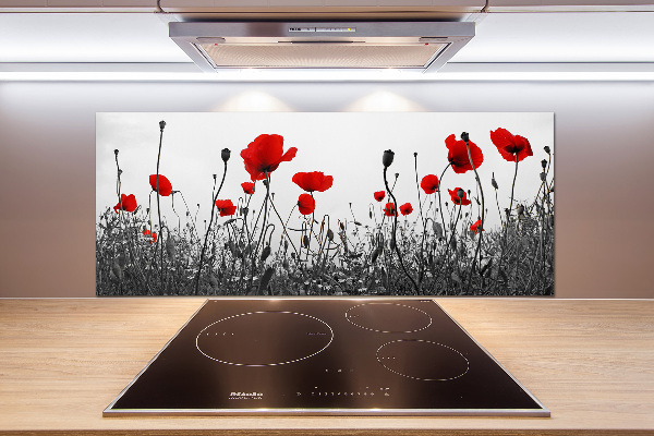 Cooker splashback Macs