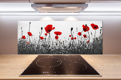 Cooker splashback Macs