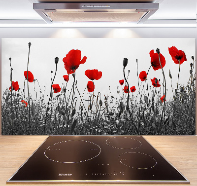 Cooker splashback Macs