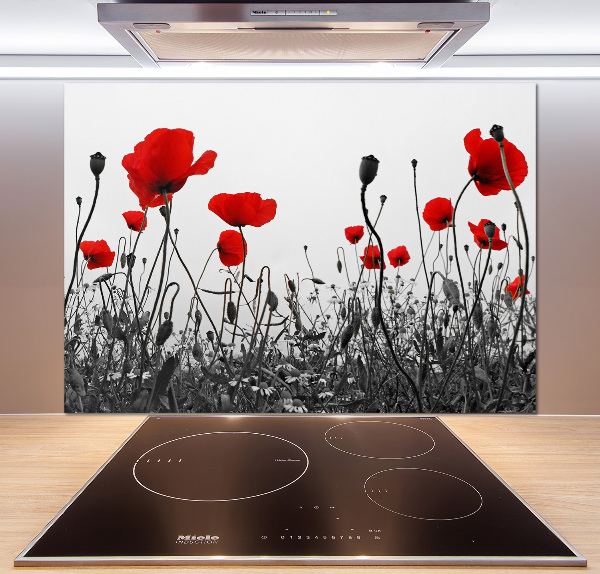 Cooker splashback Macs