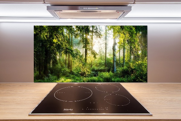 Cooker splashback Morning sun forest