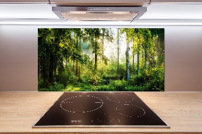 Cooker splashback Morning sun forest