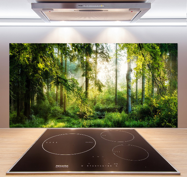 Cooker splashback Morning sun forest