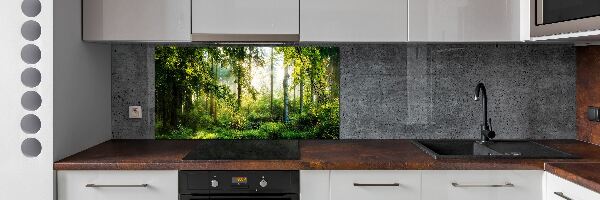 Cooker splashback Morning sun forest