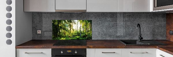 Cooker splashback Morning sun forest