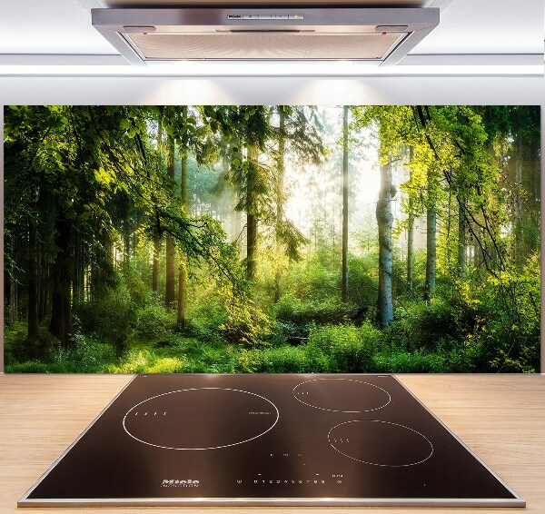 Cooker splashback Morning sun forest