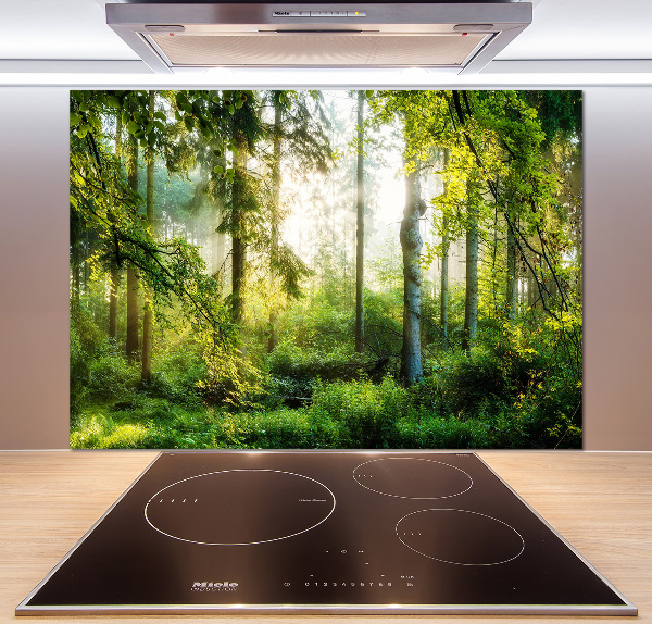 Cooker splashback Morning sun forest