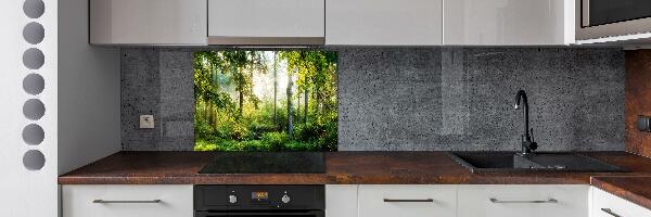 Cooker splashback Morning sun forest