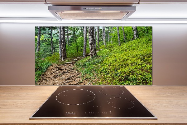 Cooker splashback Forest track