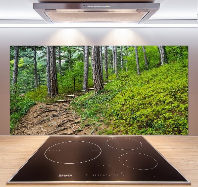 Cooker splashback Forest track