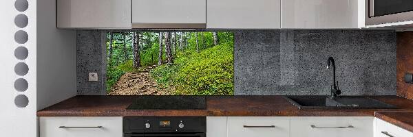 Cooker splashback Forest track