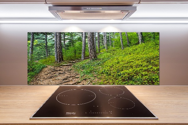 Cooker splashback Forest track