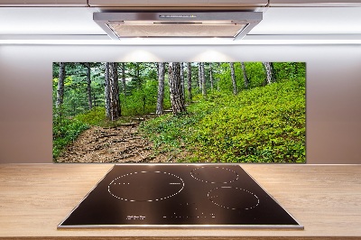 Cooker splashback Forest track