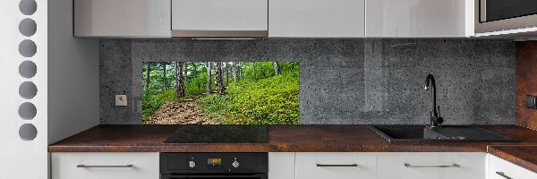 Cooker splashback Forest track