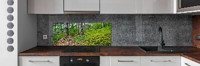 Cooker splashback Forest track