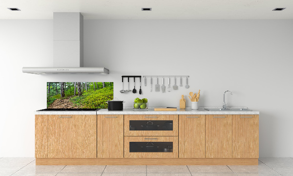 Cooker splashback Forest track