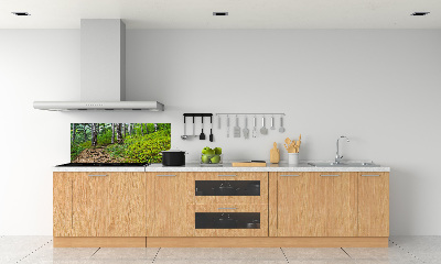 Cooker splashback Forest track