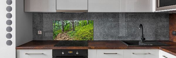 Cooker splashback Forest track