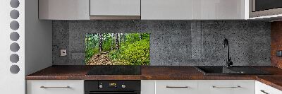 Cooker splashback Forest track