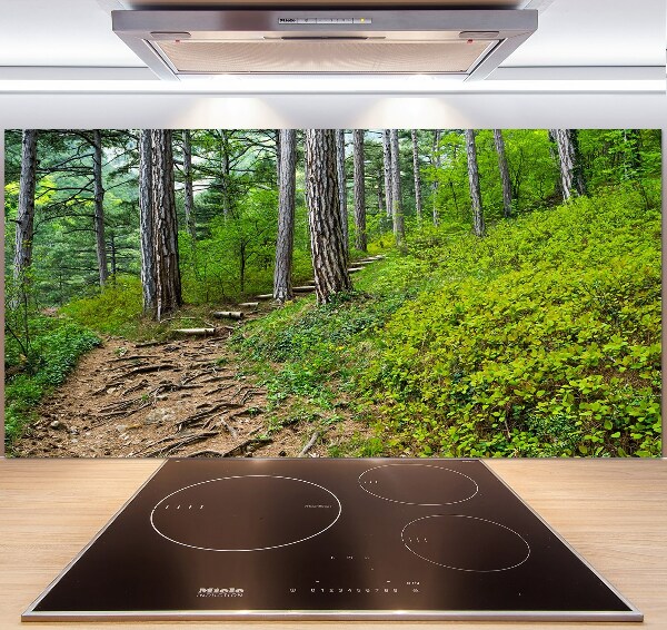 Cooker splashback Forest track