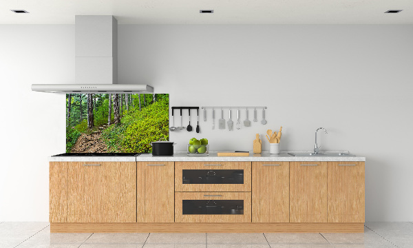 Cooker splashback Forest track