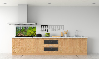 Cooker splashback Forest track