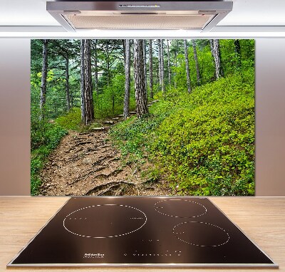 Cooker splashback Forest track