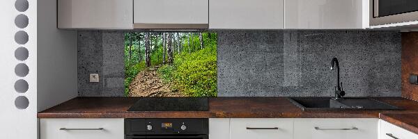 Cooker splashback Forest track