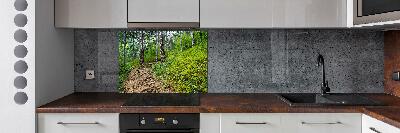 Cooker splashback Forest track