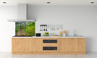 Cooker splashback Forest track