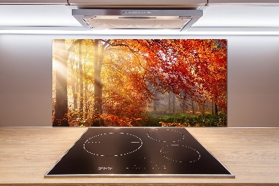 Cooker splashback Autumn forest