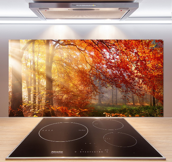 Cooker splashback Autumn forest