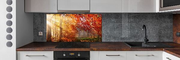 Cooker splashback Autumn forest