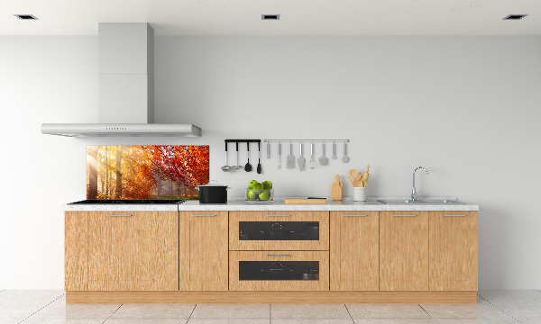 Cooker splashback Autumn forest