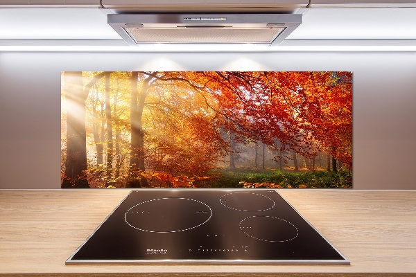 Cooker splashback Autumn forest