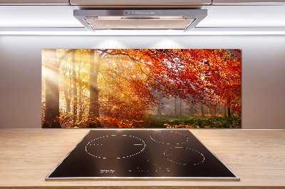 Cooker splashback Autumn forest