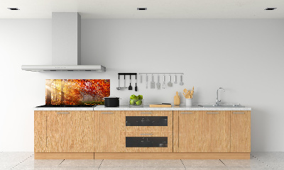 Cooker splashback Autumn forest