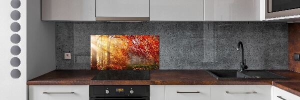 Cooker splashback Autumn forest