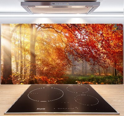 Cooker splashback Autumn forest