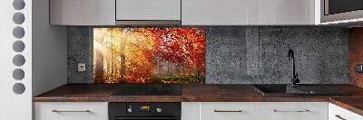 Cooker splashback Autumn forest