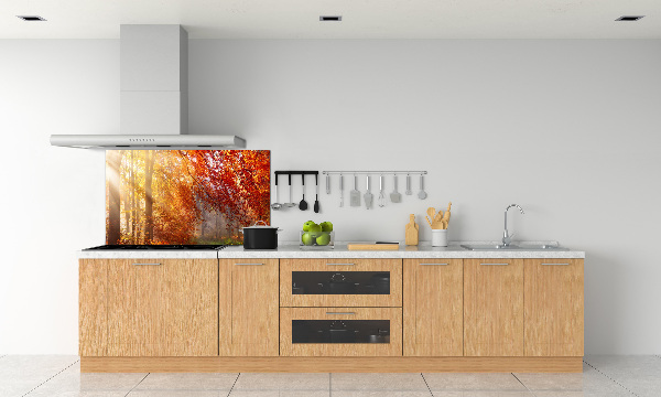 Cooker splashback Autumn forest